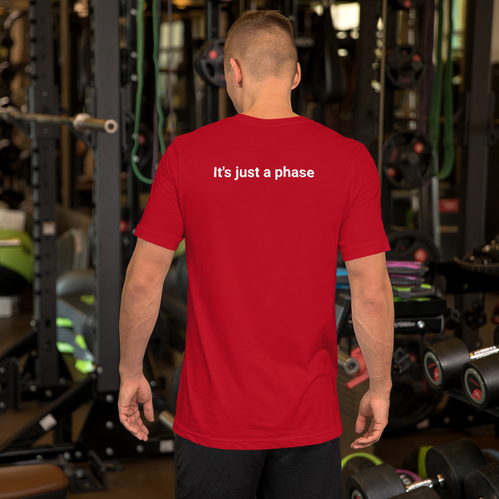 unisex-premium-t-shirt-red-back-60a3f747878b3.jpg I'ts just a phase - Moon Phases T-Shirt 6